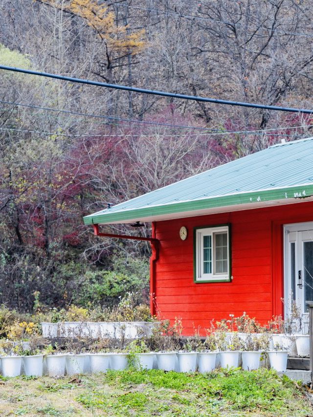 Onbit Natural Recreation Forest: An April Retreat to Lakeside Tranquility and Historic Charm 🌳🏡 