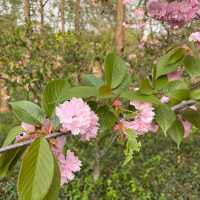 Gucun Park – Shanghai