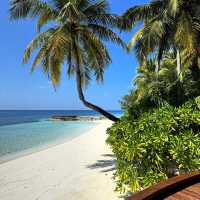Unforgettable Luxury at The W Maldives