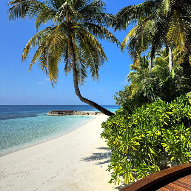 Unforgettable Luxury at The W Maldives