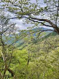 【神奈川】鍋割山⛰️