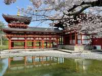 🍵 Uji: Kyoto’s Green Tea Paradise & Timeless Beauty 🍵