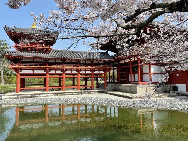 🍵 Uji: Kyoto’s Green Tea Paradise & Timeless Beauty 🍵