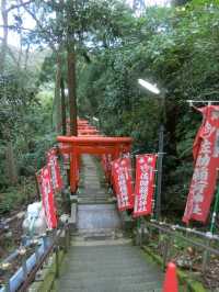 【鎌倉】鳥居が並ぶ🦊佐助稲荷神社