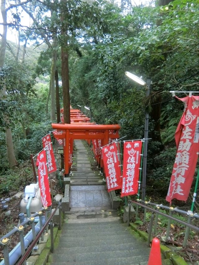 【鎌倉】鳥居が並ぶ🦊佐助稲荷神社