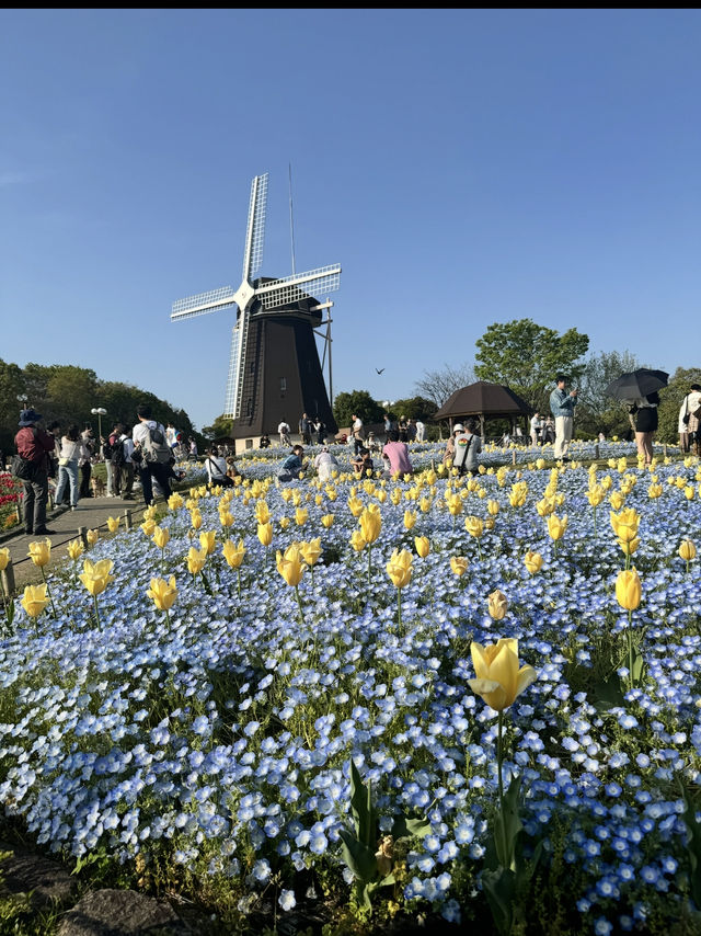 大阪•緑地公園