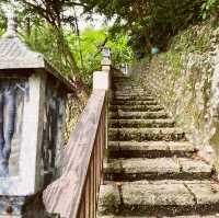 靈鷲山修行聖地|走進龍潭湖邊的寂光寺