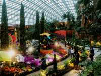 Visiting Gardens by the Bay: A Journey into Nature and Wonder 🌟