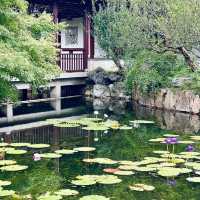 🏯秀毓亭⛳️園林夢🌿