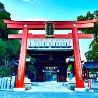 🇯🇵【愛媛県】伊豫豆比古命神社（別称:椿神社）！