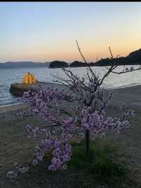 直島•草間彌生などのアート作品