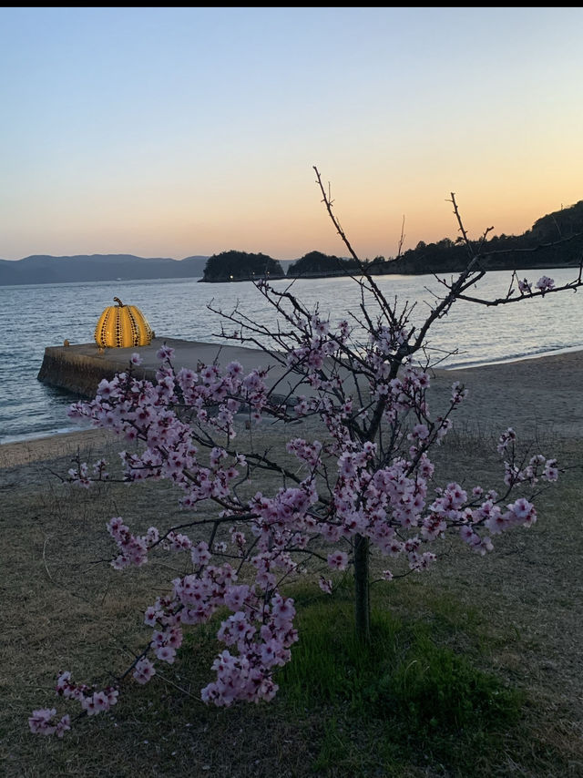 直島•草間彌生などのアート作品