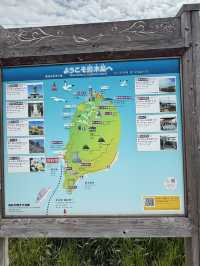  悠閒貓島散步：男木島的小確幸之旅