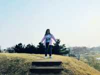 Peace at the Fortress