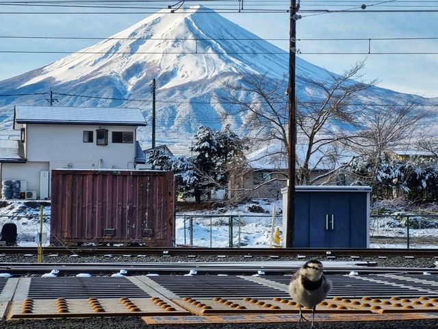 Fuji San