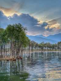 The Perfect Curve: A Springtime Pause at Dali’s Scenic S湾