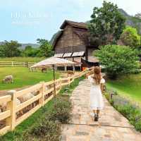 1 Day Trip เขาใหญ่ เที่ยวฟีลต่างประเทศ