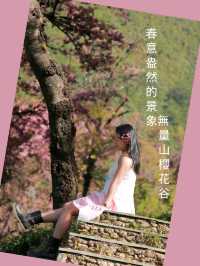 春意盎然的景象無量山櫻花谷
