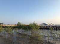 บางปู – สวรรค์ของนกนางนวลและธรรมชาติใกล้กรุงเทพฯ