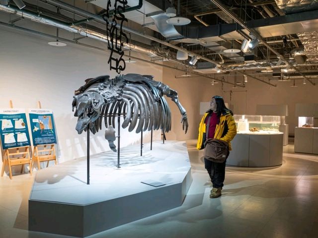 ยก Aquarium มาไว้บนตึกบนใจกลางเมือง Sapporo 