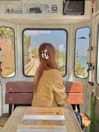 부산에서 꼭 해야할 액티비티 블루라인파크 스카이캡슐 열차🚃