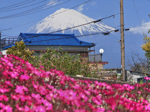 Climbing Mount Fuji