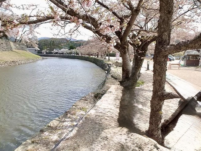 古城彥根一日遊