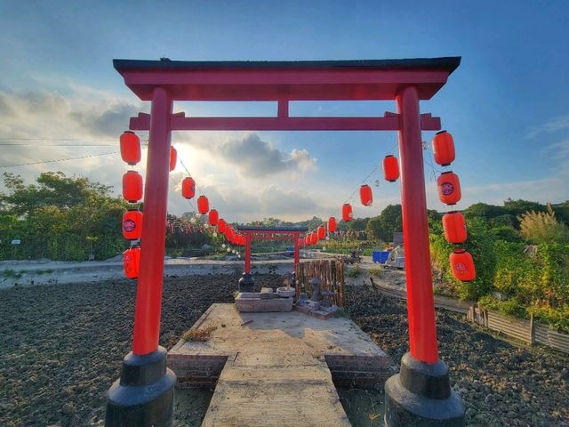 🌸✨ 元朗信芯園——香港隱藏版夢幻花海！ 🌿🌼 