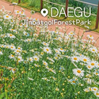 Jinbatgol forest park