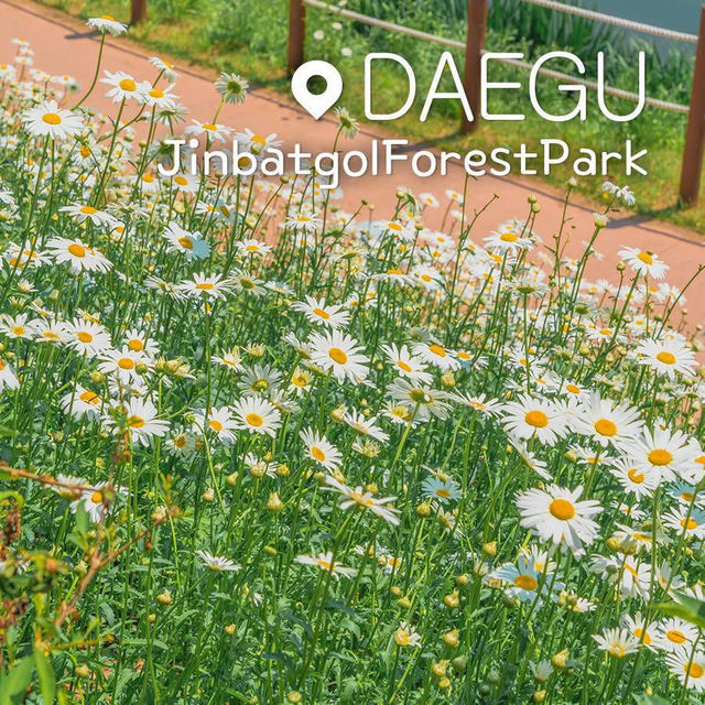 Jinbatgol forest park