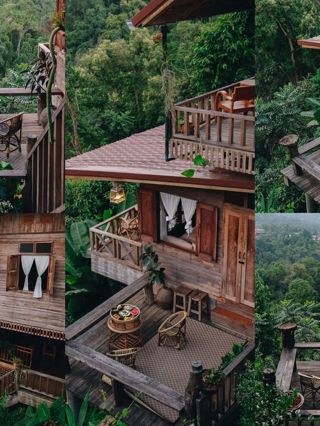 เที่ยวนอนหน้าฝน นอนบนดอยสกาด🌿