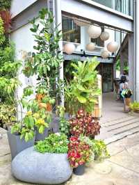 LAID BACK VIBES AT MORI KOHI CAFE