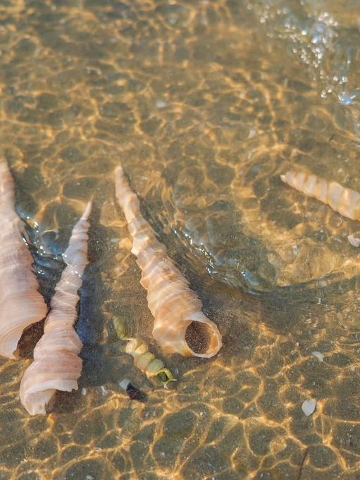 หาดสามร้อยยอด 🌊 🐚