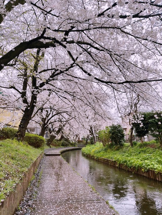 Shukugawa Park