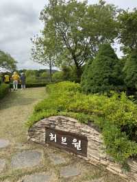 도심 속 봄꽃 여행, 전망대까지 있는 힐링 산책