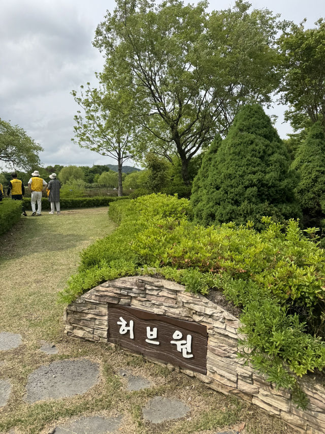 도심 속 봄꽃 여행, 전망대까지 있는 힐링 산책