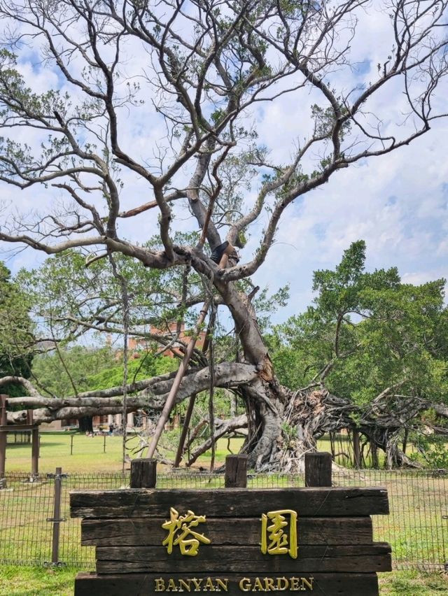 #國立成功大學-台南市東區