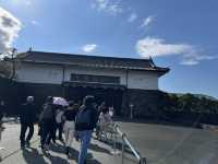 🏞️【皇居春日限定開放】趕上滿開櫻花×最後開放日！東京市中心的賞櫻驚喜體驗 🌸
