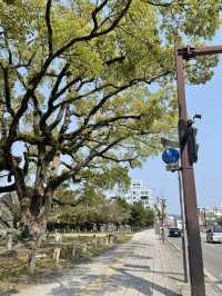 Weekend in Wakayama, Japan 