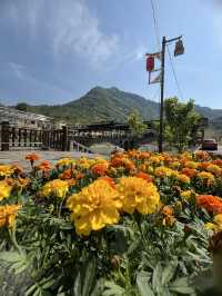 Beautiful Weather in Wangxian Valley in May