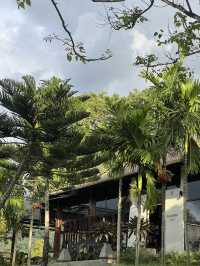 Peace, Peaks & Pure Vibes – Kachong Hill Escape