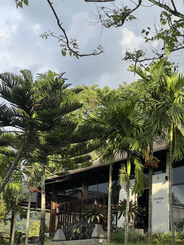 Peace, Peaks & Pure Vibes – Kachong Hill Escape