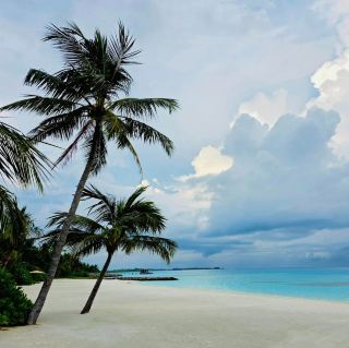 The Ritz-Carlton Maldives: A Dream in Every Detail