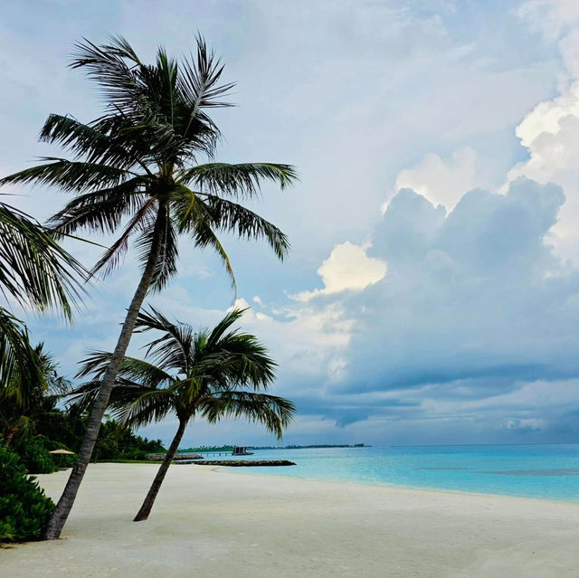 The Ritz-Carlton Maldives: A Dream in Every Detail