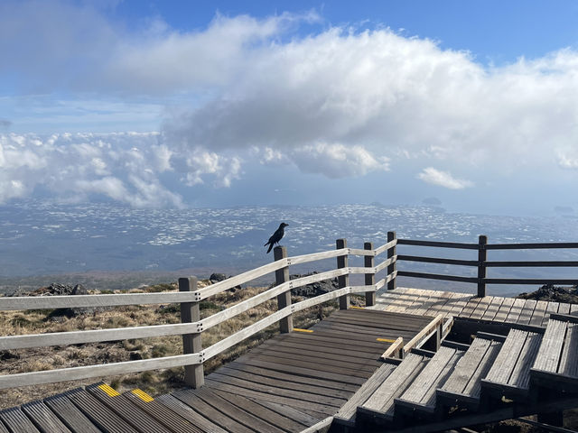 Conquering Hallasan: 10 Hours Across Jeju’s Majestic Peak Conquering Hallasan: 10 Hours Across Jeju’s Majestic Peak