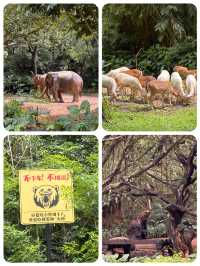 一個好值得去既野生動物園