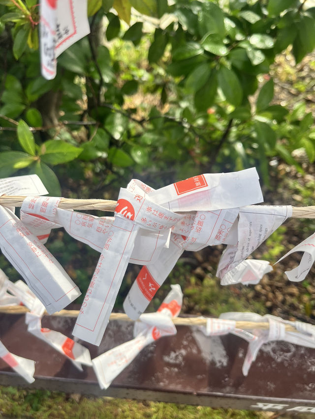 《沖繩必訪神社》波上宮：海上懸崖上的琉球信仰聖地