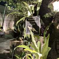 Swargi: Coffee Heaven in Solo