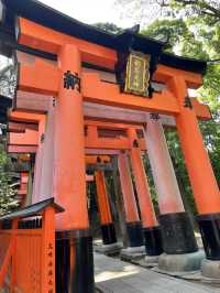 [京都一人旅]おすすめ観光スポット ~DAY 1~