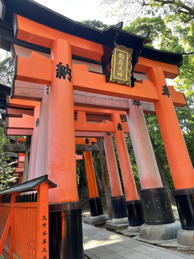 [京都一人旅]おすすめ観光スポット ~DAY 1~